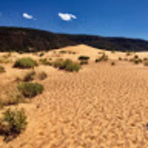 Meet your Posher, Joel